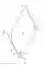 Fig. 10 - Liquid crystal display and assembly thereof