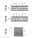 Fig. 10 - Optical pickup, optical recording and reproducing apparatus and tracking error signal detecting method
