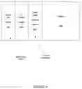 Fig. 07 - Determining throughput between hosts