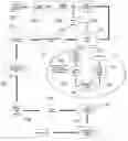 Fig. 01 - DSL prospecting system and method