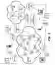 Fig. 03 - Pathways analysis and control in packet and circuit switched communication networks