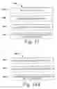 Fig. 13 - Systems and methods for filtering file system input and output