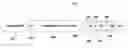 Fig. 01 - Data compression approach to telephone number management in domain name systems