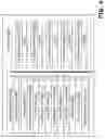 Fig. 07 - Access points of different types exchanging addresses and rules to support end points devices
