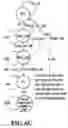 Fig. 11 - Frequency offset differential pulse position modulation