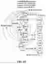 Fig. 13 - Frequency offset differential pulse position modulation