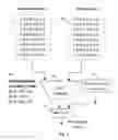 Fig. 08 - Method and apparatus of high efficiency image and video compression and display