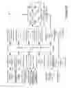 Fig. 15 - Method and apparatus for sub-pixel interpolation for updating operation in video coding