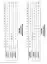 Fig. 17 - Configurable bit interleaving