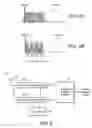Fig. 04 - Variable bandwidth receiver