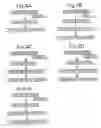 Fig. 04 - Controlling database copyrights