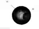 Fig. 01 - Microphone array with physical beamforming using omnidirectional microphones