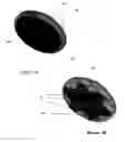Fig. 04 - Microphone array with physical beamforming using omnidirectional microphones