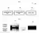 Fig. 03 - Apparatus and method to control volume of received sound signals