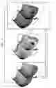 Fig. 16 - System and method for imaging