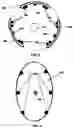 Fig. 06 - Three-dimensional image capture system