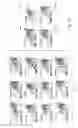 Fig. 14 - Systems and methods of assessing multi-field documents using multiple profile representations