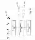 Fig. 19 - Systems and methods of capturing information using association of text representations