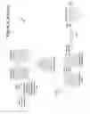 Fig. 04 - Skip macroblock coding