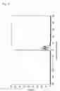 Fig. 08 - Projection display-use screen and projection display system optical system