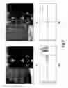 Fig. 09 - Auto focus method for digital camera