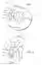 Fig. 02 - Non-contact shutter activation system and method