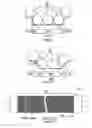 Fig. 16 - Toner particle-bearing roller with projection portion, developing device having such toner particle-bearing roller, and image forming apparatus having such developing device