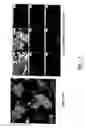 Fig. 03 - Process for the recovery of titanium dioxide from titanium-containing compositions