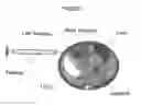 Fig. 02 - Methods for preparation of live body tissues for examination