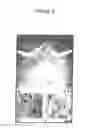 Fig. 03 - Methods for preparation of live body tissues for examination