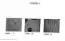 Fig. 05 - Methods for preparation of live body tissues for examination