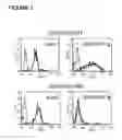 Fig. 02 - Modulation of immunity and CEACAM1 activity