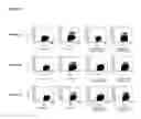 Fig. 16 - Modulation of immunity and CEACAM1 activity