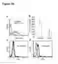 Fig. 30 - Modulation of immunity and CEACAM1 activity