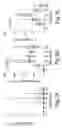 Fig. 03 - Allergen peptide fragments and use thereof
