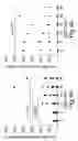 Fig. 05 - Allergen peptide fragments and use thereof