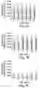 Fig. 08 - Allergen peptide fragments and use thereof