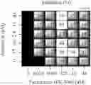 Fig. 02 - Combination therapy for the treatment of immunoinflammatory disorders