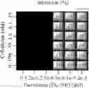 Fig. 08 - Combination therapy for the treatment of immunoinflammatory disorders