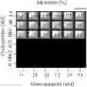 Fig. 09 - Combination therapy for the treatment of immunoinflammatory disorders