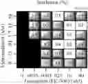 Fig. 10 - Combination therapy for the treatment of immunoinflammatory disorders