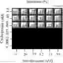 Fig. 11 - Combination therapy for the treatment of immunoinflammatory disorders