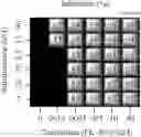 Fig. 12 - Combination therapy for the treatment of immunoinflammatory disorders