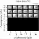 Fig. 13 - Combination therapy for the treatment of immunoinflammatory disorders