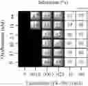 Fig. 14 - Combination therapy for the treatment of immunoinflammatory disorders