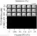 Fig. 17 - Combination therapy for the treatment of immunoinflammatory disorders