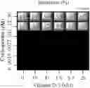 Fig. 19 - Combination therapy for the treatment of immunoinflammatory disorders