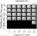 Fig. 20 - Combination therapy for the treatment of immunoinflammatory disorders