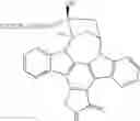 Fig. 06 - Regulation of epithelial tissue by hedgehog-like polypeptides, and formulations and uses related thereto