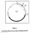 Fig. 02 - System for treating and preventing breast cancer